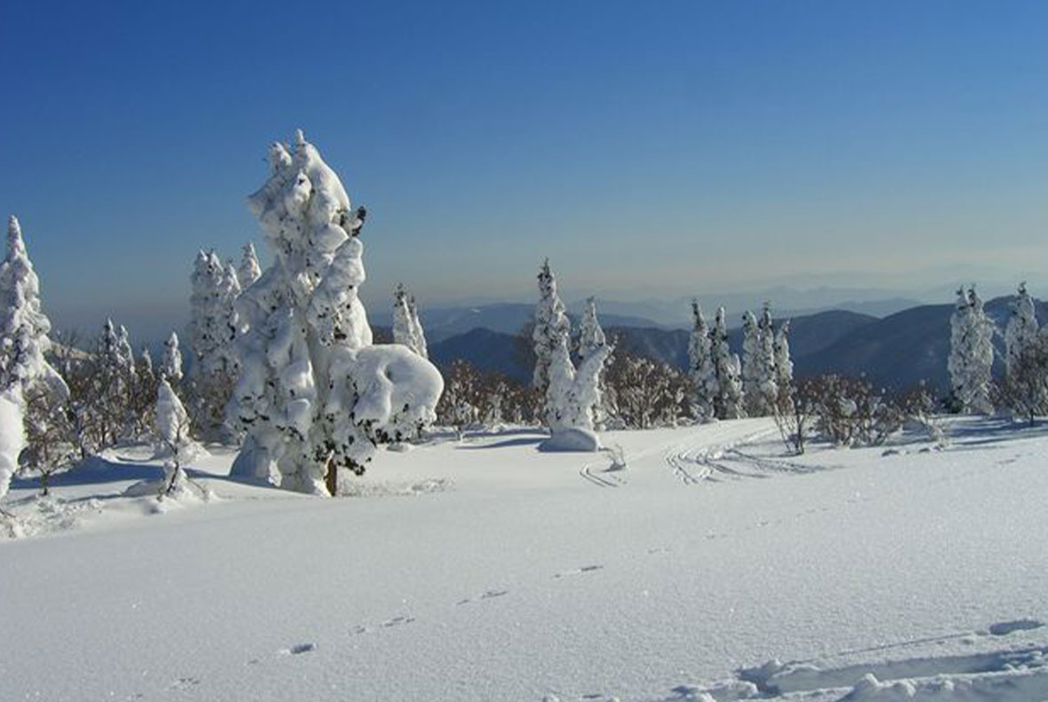 恐羅漢スノーパーク